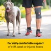 FUTURO Comfort Fit Knee Support 04039EU2, Adjustable (27.9 - 55.9