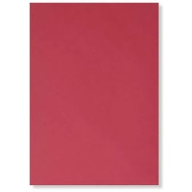 A4 (210 x 297 mm) Coloured Card, 300GSM, Perfect for DIY-Homemade Projects, Arts, Crafts, Card Designing and Decorating - Fully Recyclable - Pack of 10 (Bright Red)