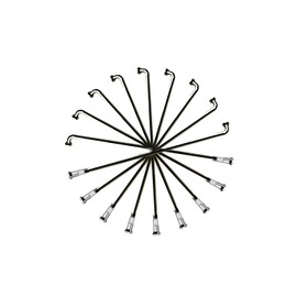 37 Pieces Spokes 288 mm spokes Black Frame 2 mm including Brass Nipple