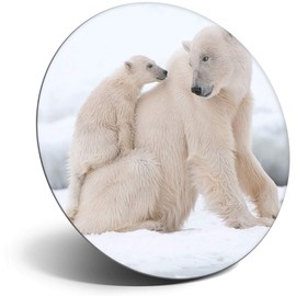 Destination Vinyl ltd Magnet for Refrigerator, Fridge - Cute Polar Bear Family Snow for Office, Cabinet and Whiteboard, Magnetic Stickers, 3686