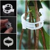 200 pcs Pinza de plástico para Plantas, Soporte de Plantas