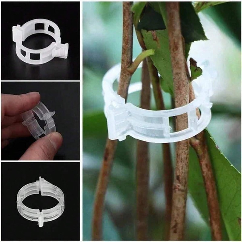 200 pcs Pinza de plástico para Plantas, Soporte de Plantas