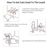 PETCUTE Cat Harness and Lead Adjustable Cat Harness and Leash