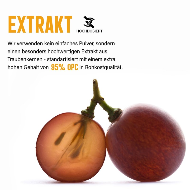 OPC 95% Traubenkern Extrakt Kapseln - 120 x Stück |