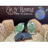 Eko HOme Jabón Artesanal 5 Piezas A Elegir Coco Aguacate