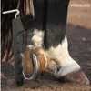 Hoof Pick for Horses Donkey Goat Hoof with Extra Stable