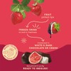 Tru Fru Freeze Dried Fruit Variety Pack - Chocolate Covered