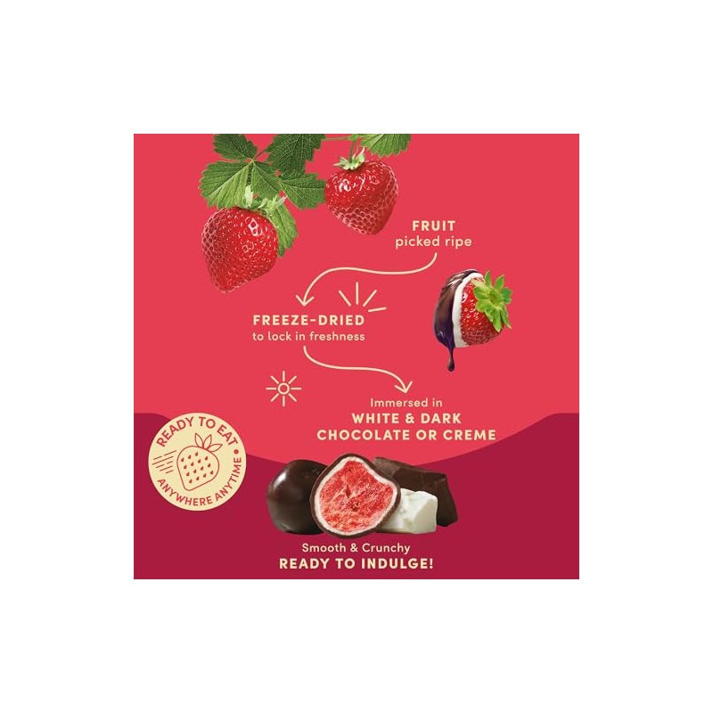 Tru Fru Freeze Dried Fruit Variety Pack - Chocolate Covered