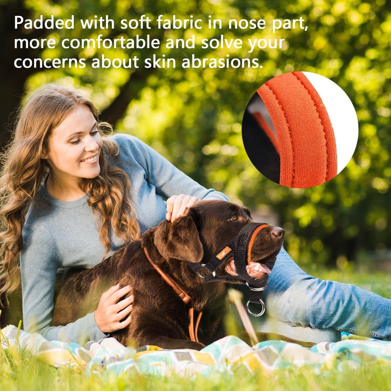 wintchuk Dog Head Collar with Soft Fabric, Head Harness Stops