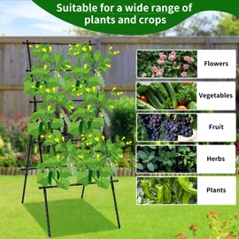 Lalahoni Garden Trellis for Climbing Plants Outdoor, 6ft Tall Metal A-Frame Trellis Climbing Vining Plant Support for Vegetable, Fruit, Tomato, Cucumber Trellis for Raised Bed, with Netting