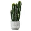 Vickerman Everyday Succulent Arrangement, 17", Green