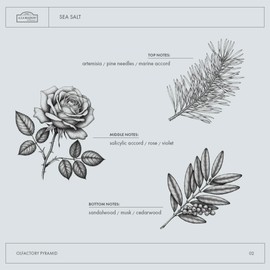 A LA MAISON Lotion - Fresh Sea Salt - 8 fl oz, silver