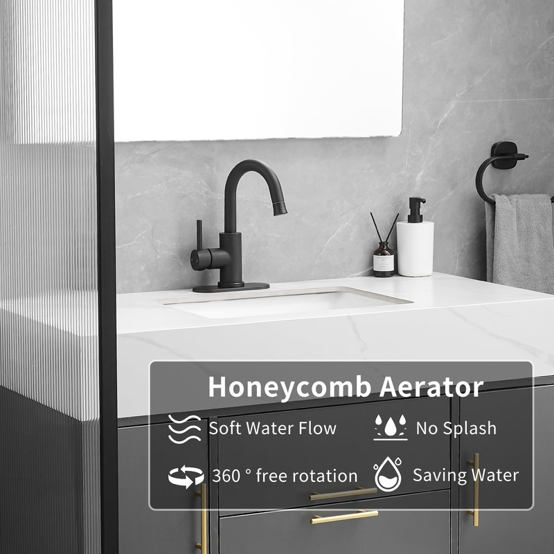 Black Bathroom Sink Faucet with Pull Out Sprayer for 1
