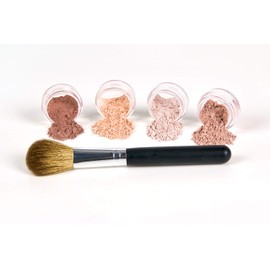 5pc BLUSH SET with BRUSH Mineral Makeup Kit Bare Face Powder Rouge Highlight (Sample Size Blush Set)
