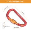 Brotree Carabiner Keychain D-Ring Clip Back Hanger Aluminum Alloy Screw