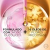 Kit LOréal Paris Elvive Óleo Extraordinario 100 ml Elvive Acondicionador