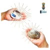 Concha Nacar Ostras Tatai 100% Natural 2 Pzs