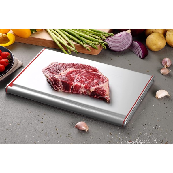 That Inventions Professional Quick Food Defrosting Tray and Thawing Plate,