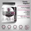 CreatoFem Creatina Orgánica Para Mujeres 60 Servicios. Sabor Arandano-miel. Purely