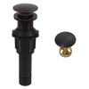 Oil Rubbed Bronze Bathroom Sink Drain with Hair Catcher