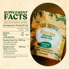 Four Sigmatic Focus Organic Green Tea | Focus Enhancing Tea