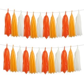 GAKA Orange and White Tissue Paper Tassel(3 Colors),Paper Tassel Garland Banner for Wedding Birthday Party Decor Supplies,15 PC