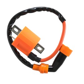 waltyotur Ignition Coil and Igniter CDI Box Replacement for Yamaha Timberwolf 250 YFB250 FW 4x4 1994-2000 Bear Tracker 250 YFM250 Replacement for 4BD-85540-10-00