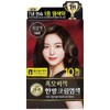 Lien black hair dye cream dark brown / 리엔 흑모비책 염색크림 흑갈색
