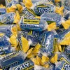 Jolly Ranchers Hard Candy 3lbs- All Blue Raspberry Individually Wrapped