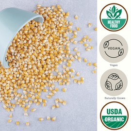 Yellow Organic Popcorn Kernels (4.8lb) Be Still Farms - Hulless Uncooked Corn Bulk Great for Movie Night - Healthy Microwave Snacks Ideal for Popping - USA Grown | USDA Certified | Vegan | Non-GMO