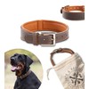 Jack & Russell Amy Premium Leather Dog Collar Brown Amy