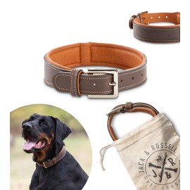 Jack & Russell Amy Premium Leather Dog Collar Brown Amy (M)
