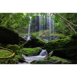 Waterfall Aquarium Background Jungle Forest Stream Landscape Terrarium Backdrop Tropical Plants Rocks with Lush Moss Fish Tank Background Jungle Reptile Habitat Background Poster Vinyl 30x12in