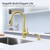 GAGALIFE Kitchen Sink Soap Dispenser with Large Bottle, Built in