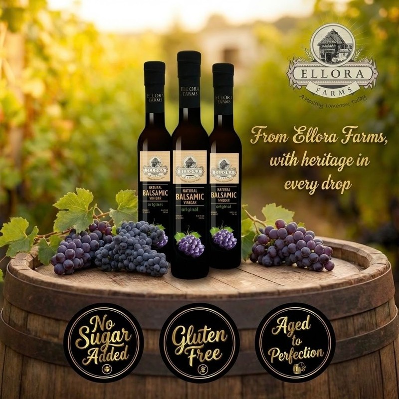 Ellora Farms, Plain Natural Balsamic Vinegar, Award-Winning, Thick and Creamy,