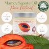 Mamey Sapote Oil Pure Organic Cold Pressed Unrefined 4 fl