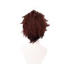 Kamoto's Blade Wig, Cosplay, Wig, Costume, Parisodes, Selectable Characters (Tanjiro