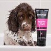 Animology Puppy Love Mild Dog Shampoo, Twin Pack, 250ml