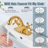 Aolemi Bathroom Sink Faucet Single Hole Cold and Hot Double