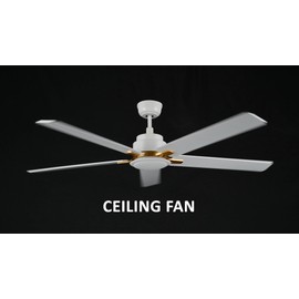 Carro Ceiling Fans with Lights, 10 Speeds DC Ceiling Fan with Remote, Modern 2 Light Colors Dimmable Low Profile, for Bedroom, Living room, 60 inches, White