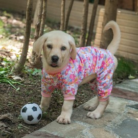 CuteBone Soft & Stretchy Dog Pajamas - Cozy Pet Jammies Breathable Jumpsuit for Small Dogs - All-Season Comfy Outfit Easy-On Pullover Design - Keeps Pets Warm & Comfortable P89S