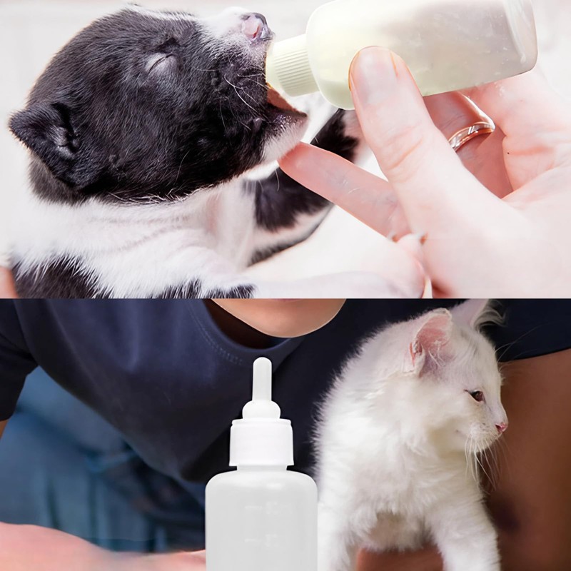 DIZLAS 7 Piece Kitten Bottle Milk Puppy Pet Dropper Hydration