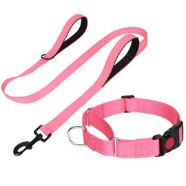 FunTags Reflective Martingale Collar for Dogs, Quick Release Buckle, 5FT Double Handle Dog Leash Padded, Dog Collar and Leash Set, Adjustable for Large Dogs (BabyPink, L)