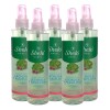 Tónico Facial Sheló Nabel Lechuga Pasiflora Piel Grasa 5x265ml