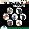 Wildlife Elements Peanut Party Unprocessed, Raw in-Shell Peanuts Wildlife Animal