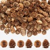 150Pcs Mini Pine Cones for Crafts, 1.18" Natural Pinecones Ornaments