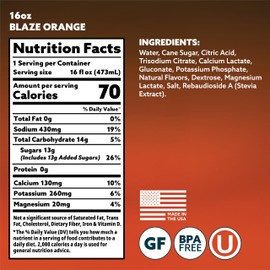 Hoist Premium Hydration Isotonic Electrolyte Drink, Powerful IV-Level Hydration, Orange, 16 Fl Oz (Pack of 12)