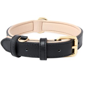 HEELE Adjustable Dog Collar with Padded and Genuine Leather for Puppies, Small, Medium, Large Dogs