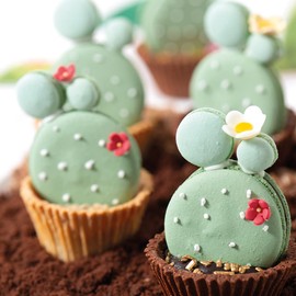 DECORA, 0500308 Bunte Zuckerblumen, Von Hand gefertigt mit natürlichen Farbstoffen, Verpackt in Blister, Ideal zum Verzieren von Torten und Gebäck, Packung mit 30 Stück.