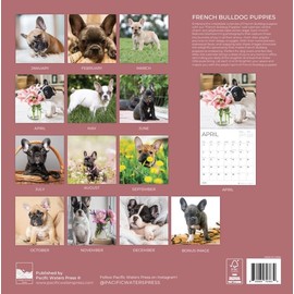 2026 French Bulldog Puppies Wall Calendar 12 Month | 12" x 24" Open | Giftable | Dog Calendar 2026 | Thick & Sturdy Paper for Calendar Organizing & Planning | Pacific Waters Press (French Bulldog Puppies)
